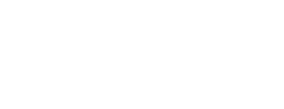 Experience Day